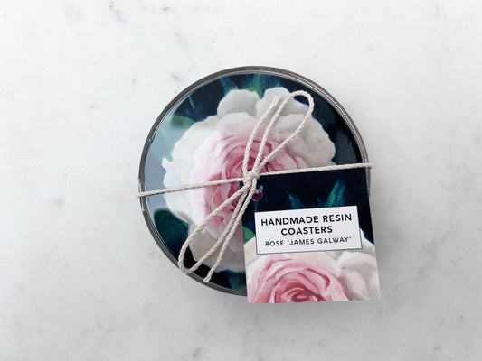 PAIR OF COASTERS in Rose 'James Galway'