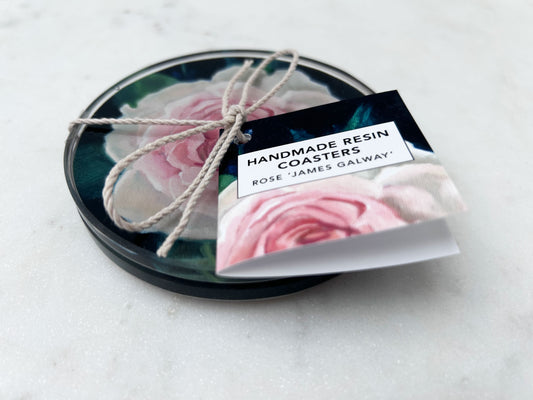 PAIR OF COASTERS in Rose 'James Galway'