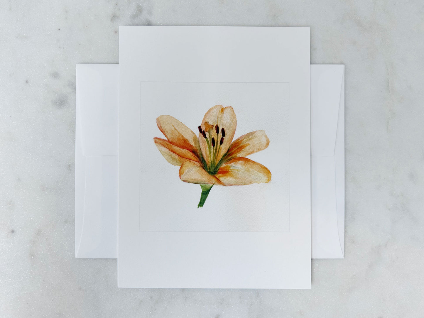 BOXED NOTECARDS | Watercolor Garden Collection (set of 5 designs)