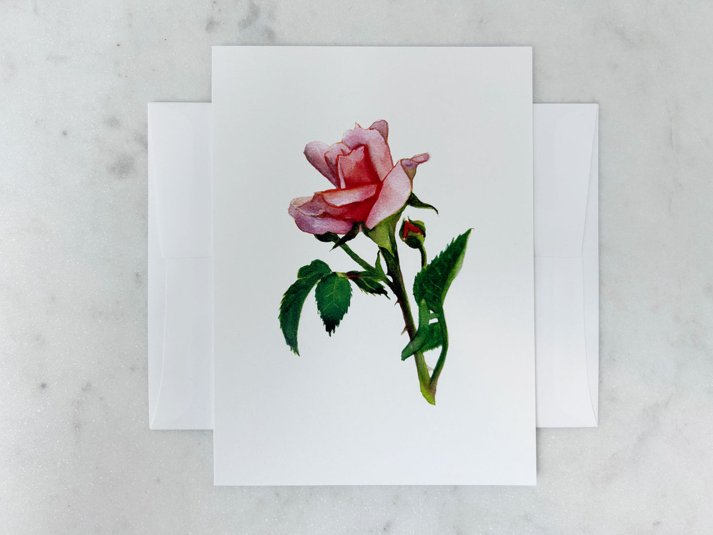 NOTECARD | 'Colette' Climbing Rose