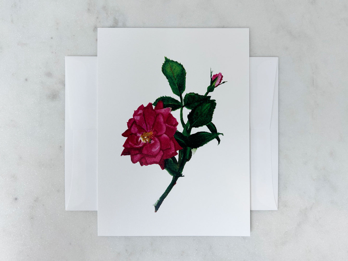 NOTECARD | 'Pink Knockout' Rose