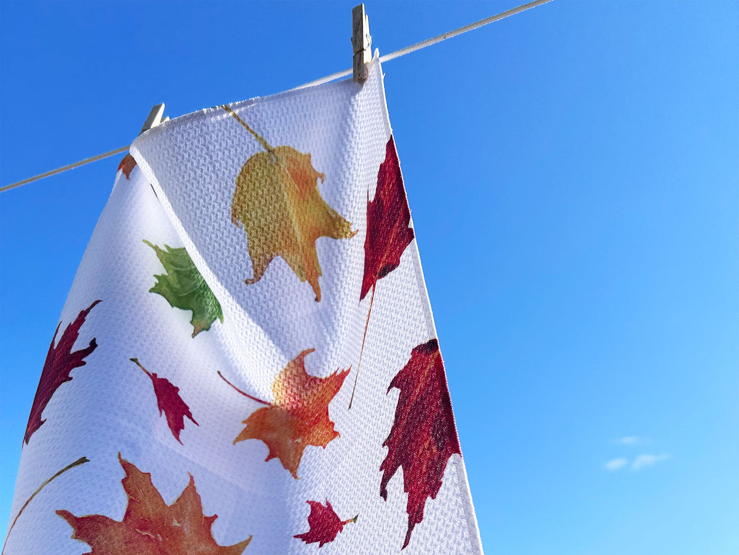 DISH TOWEL in Sugar Maple