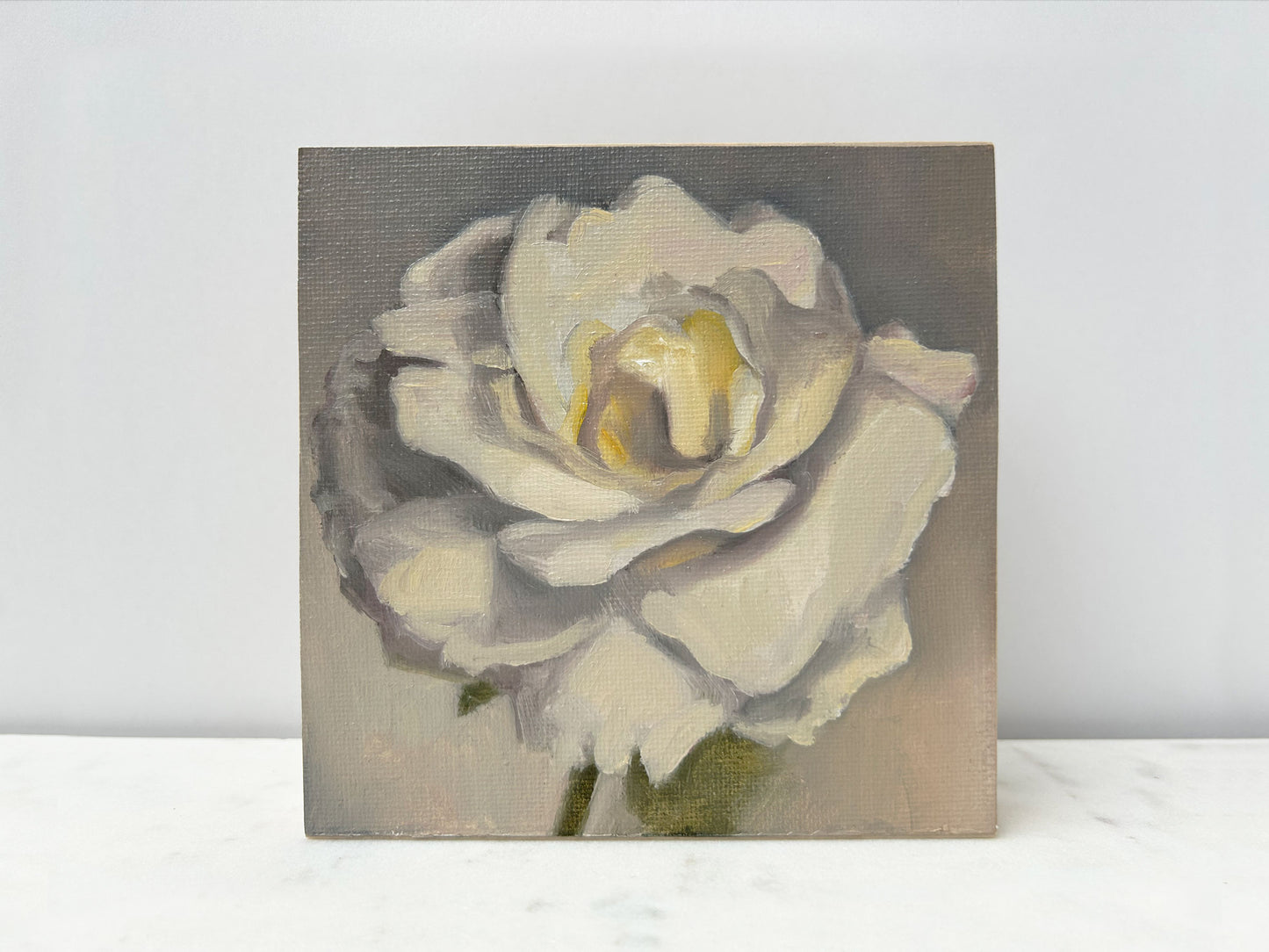 OIL PAINTING | Winter White Rose