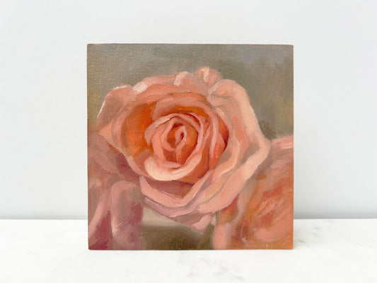 Blushing Roses | oil painting