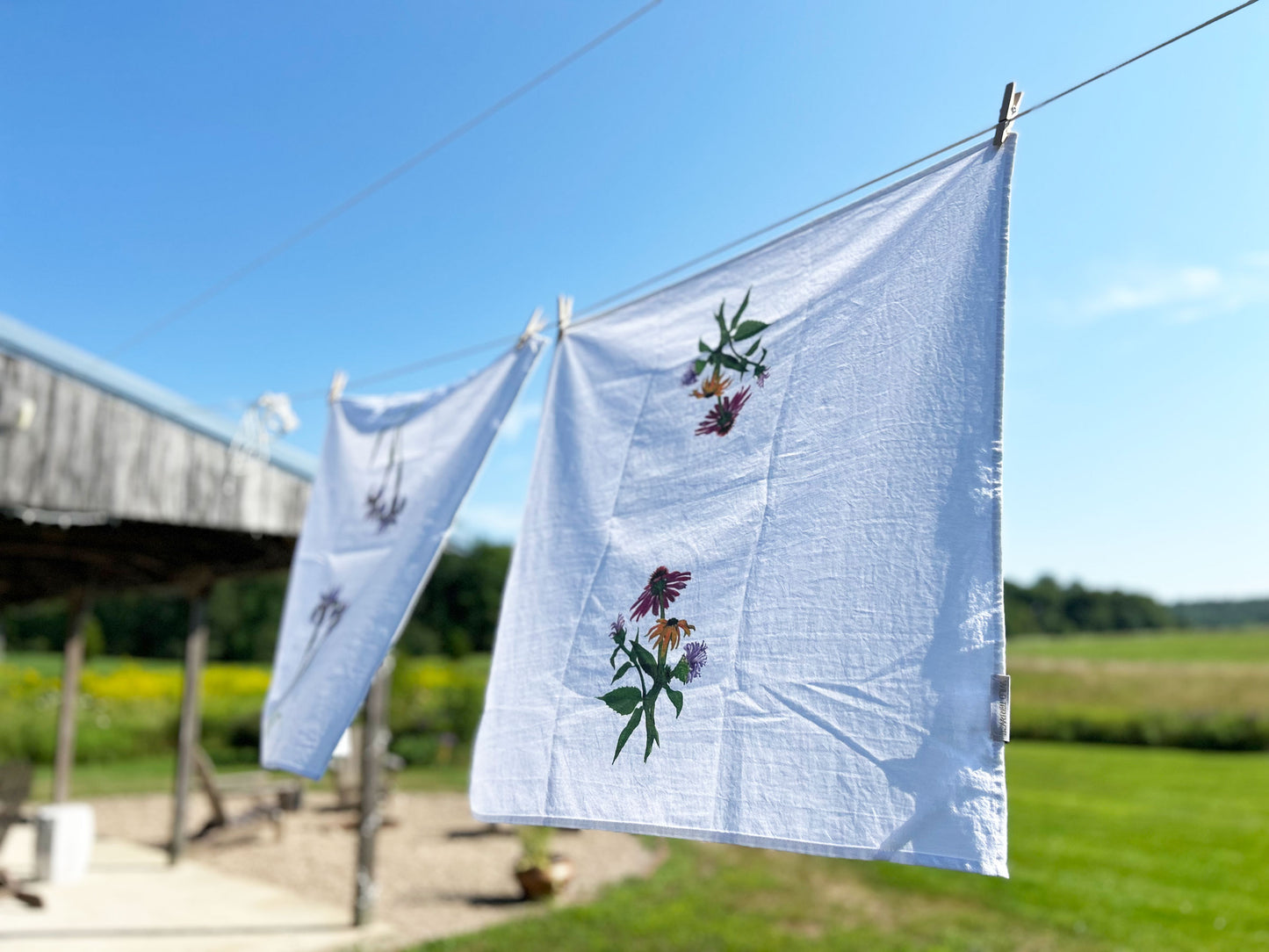 Coneflower, Rudbeckia, Bee Balm Flour Sack Tea Towel