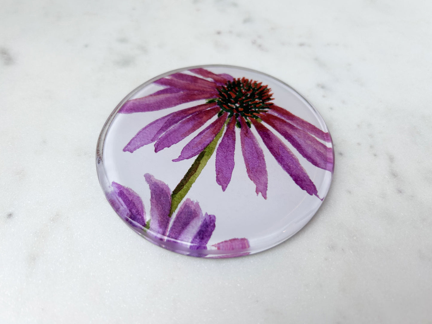 Coneflowers Coaster