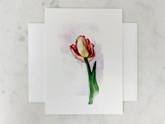 Tulip ‘Apricot Parrot’ Floral Notecard