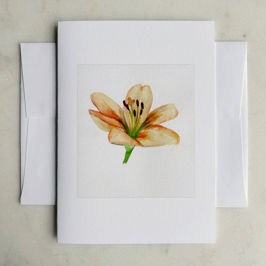 Asiatic Lily Floral Notecard