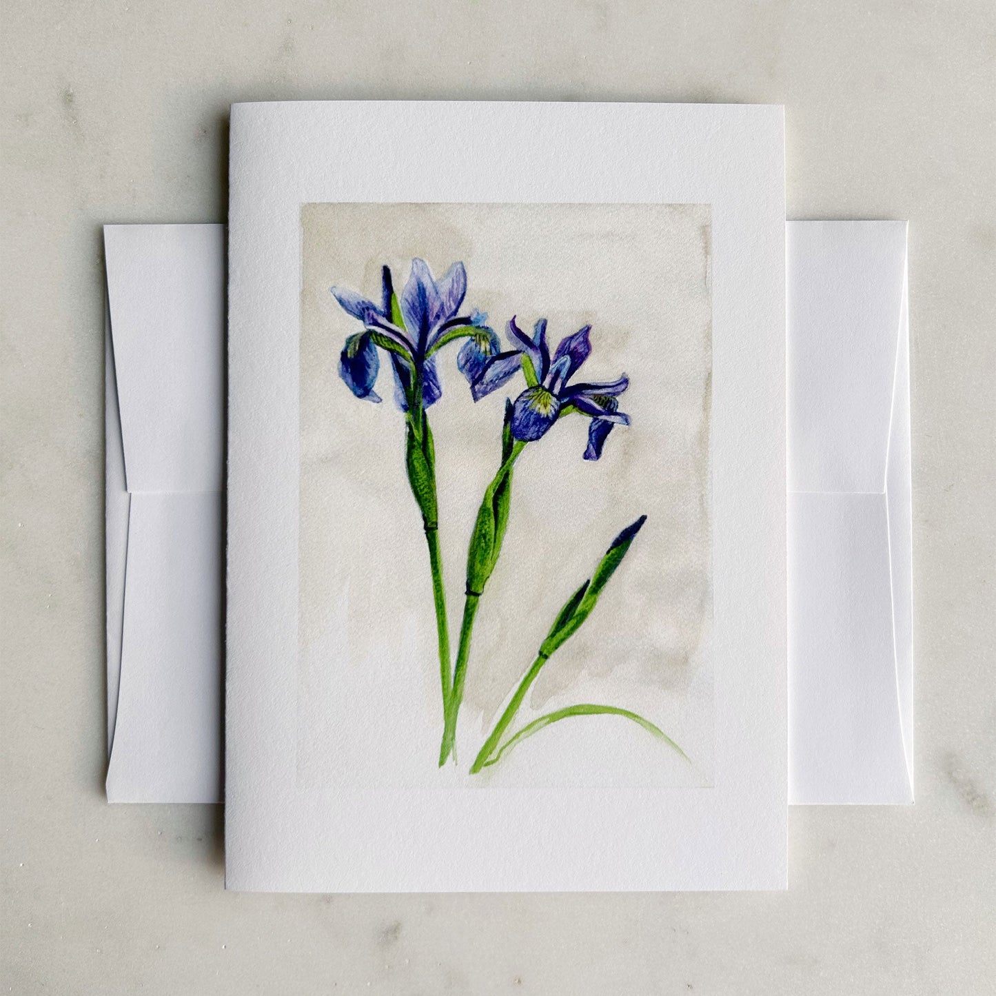 Native ‘Blue Flag’ Irises Floral Notecard