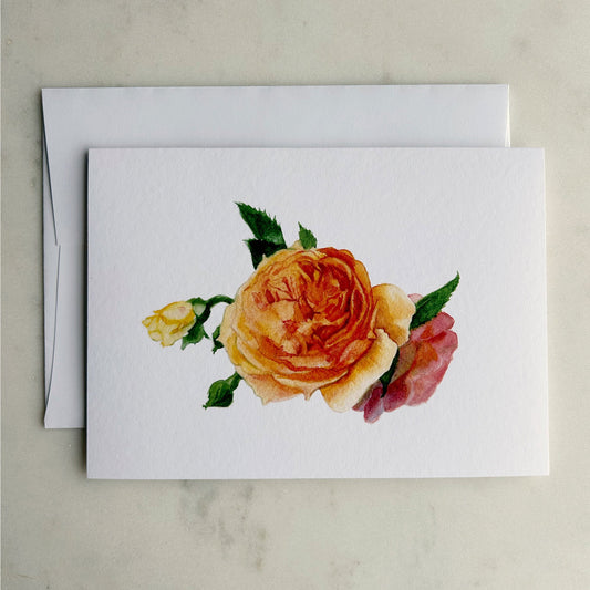 ‘Crown Princess Margareta’ Rose Floral Notecard