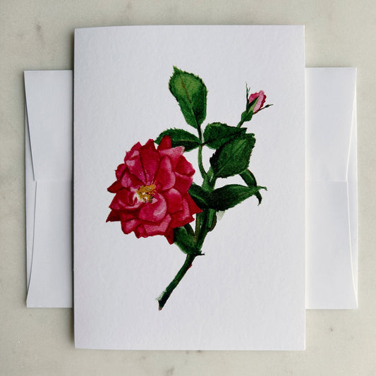'Pink Knockout' Rose Floral Notecard