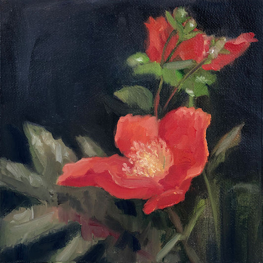 Lenten Roses | framed oil painting