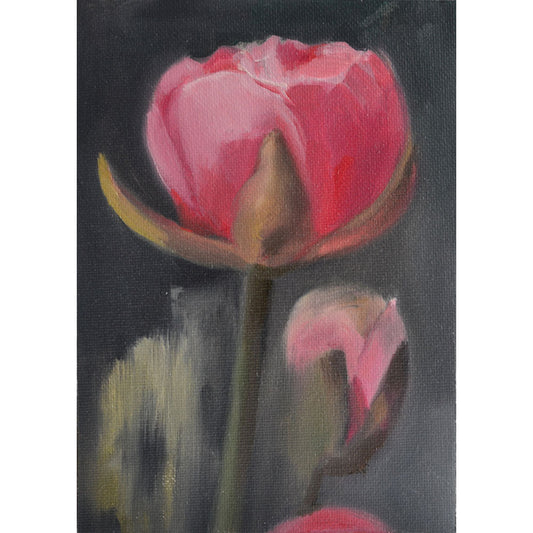 OIL PAINTING | Pink Ranunculus